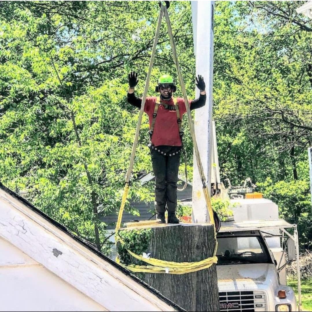 Crane-assisted tree removal service near Clinton NJ